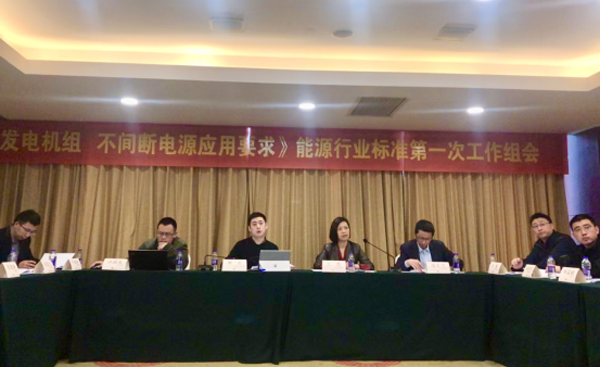 腾龙国际平台风电主持体例的首个能源行业标准启动会在杭召开-企业动态-腾龙国际平台官网